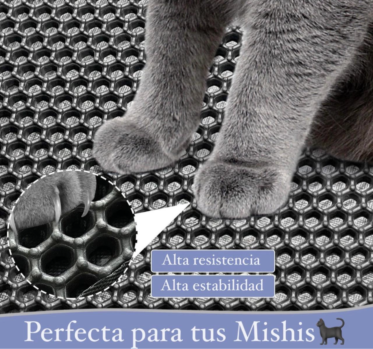 COMBO MISHI CLEAN® tapete+ Cepillo vaporizador