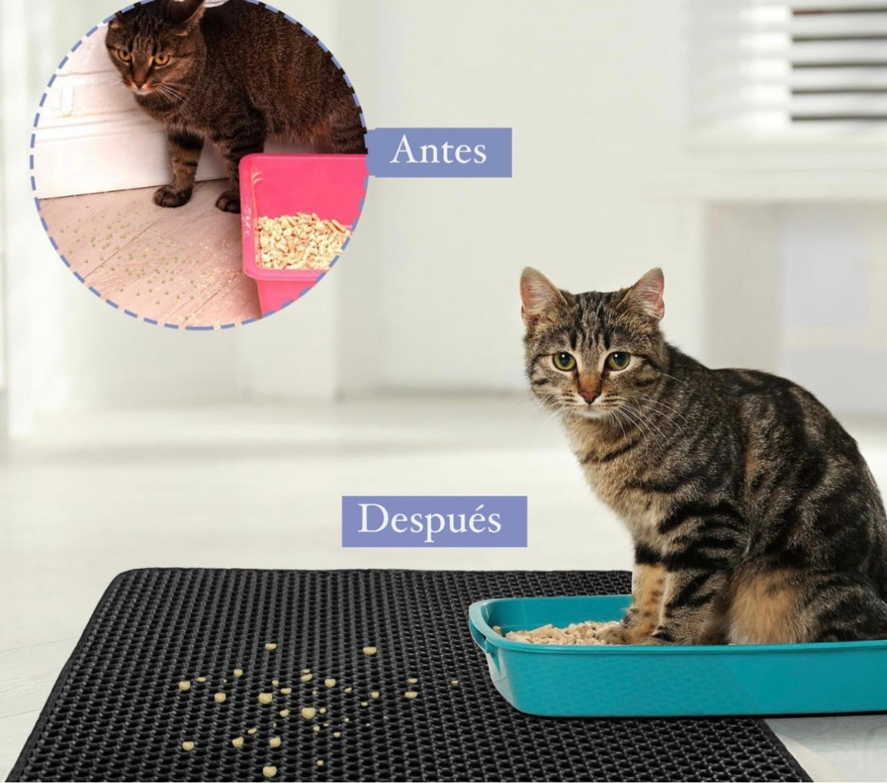 COMBO MISHI CLEAN® tapete+ Cepillo vaporizador